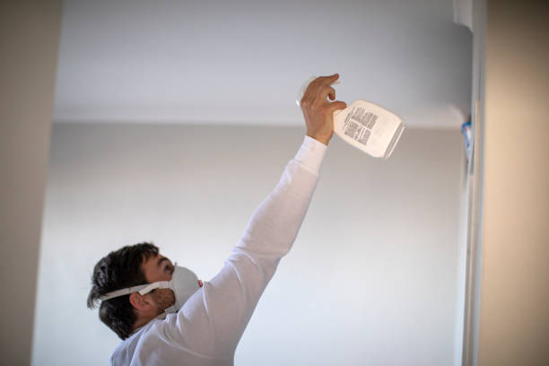 Best Post-Flood Mold Remediation in Druid Hills, GA