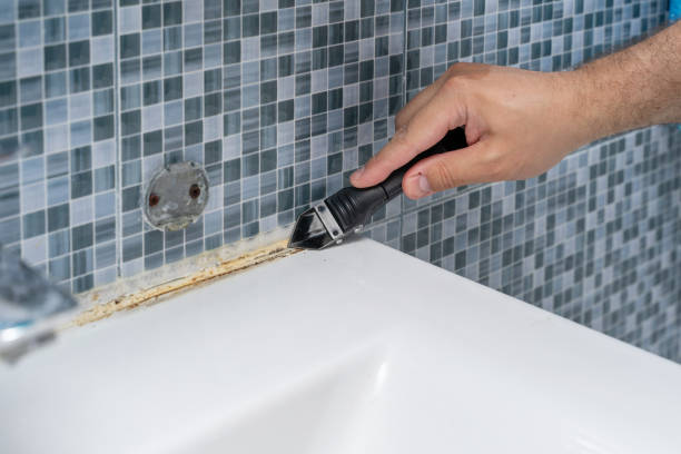 Best Commercial Mold Remediation in Druid Hills, GA