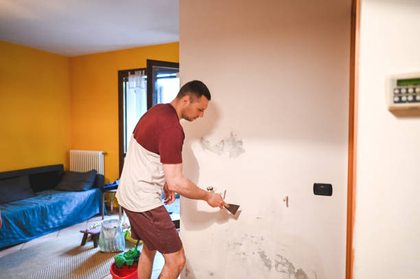 Best Kitchen Mold Remediation in Druid Hills, GA
